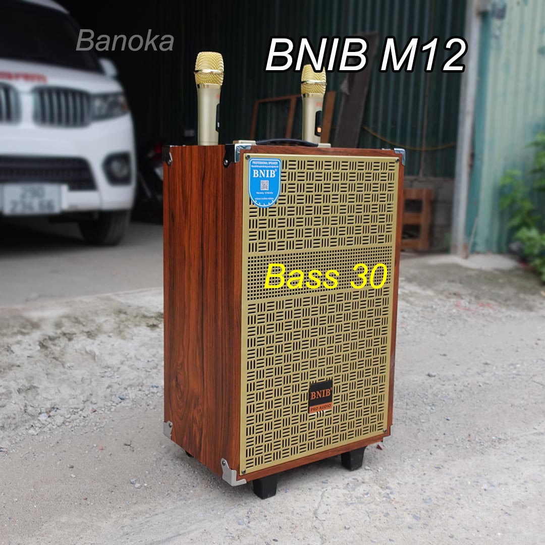 Loa kéo BNIB M12 Bass 30 vỏ gỗ kèm 2 mic không dây, bảo hành 12 tháng